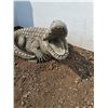 Image 2 : ** Alligator Outdoor Fountain - No Pump - 29" Long x 16" Tall - CANNOT SHIP
