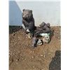 Image 1 : ** Bear Two -Piece Garden Decor - 14" x 16" (Largest Piece) CANNOT SHIP