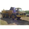 Image 2 : CAT D 250D OFF ROAD TRUCK