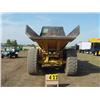 Image 3 : CAT D 250D OFF ROAD TRUCK