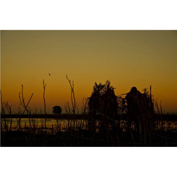 Duck Hunting Trip - LOS PICAZOS LODGE-3 Days and 3 Nights for 2 Hunters