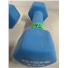 Image 2 : ESTATE:  2 - 4.5 KG WEIGHTS
