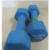 Image 4 : ESTATE:  2 - 4.5 KG WEIGHTS