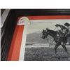 Image 3 : SCARCE FRAMED PICTURE ALBERTA DESIGNATED DRIVER)