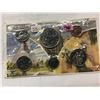 Image 1 : 1981 PROOF CANADA MINT SEALED COIN SET