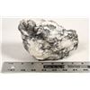 Image 2 : Howlite ("White Turquoise") Specimen, Los Angeles [197770]