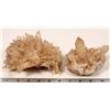 Image 1 : Yellow Quartz Crystal Clusters, 2 Beauties [194459]