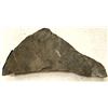 Image 2 : Crinoid Fossil Plate [159142]