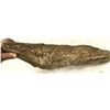 Image 3 : Crinoid Fossil Plate [159142]