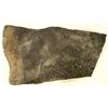 Image 1 : Crinoid Fossil Plate [159145]