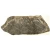 Image 2 : Crinoid Fossil Plate [159146]