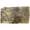 Image 1 : Crinoid Fossil Plate, Great Specimen [159141]