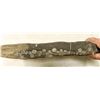 Image 2 : Crinoid Fossil Plate, Large 'Flower' [196391]