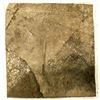 Image 1 : Square-Cut Crinoid Fossil Plate [196396]