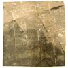 Image 2 : Square-Cut Crinoid Fossil Plate [196396]