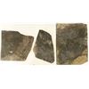 Image 1 : Trio of Crinoid Flower Fossil Plates [196409]