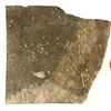 Image 2 : Trio of Crinoid Flower Fossil Plates [196409]