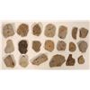 Image 1 : Insect Fossils, 2 Pounds [194643]