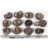 Image 1 : Stringocephalus Fossils, 12 Pounds [194169]