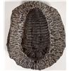 Image 2 : Large Trilobite, Chinese origin [194387]