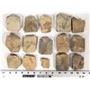 Image 2 : Trilobites, 4 Pounds [194177]