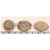 Image 1 : Dinosaur Egg Casts, 3 [194630]