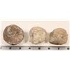 Image 2 : Dinosaur Egg Casts, 3 [194632]