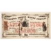 Image 1 : Occidental Copper Mining Stock, 1863 [191708]