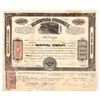 Image 1 : Mariposa Company Stock, 1869, Rare [191859]