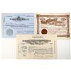 Image 1 : Findley Gold Mining Co. Stocks (3) [191355]