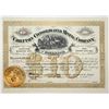 Image 1 : Chieftan Consolidated Mining Company Stock Certificate [195465]