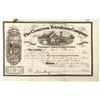 Image 1 : Cameron Petroleum Company Stock Certificate [191361]