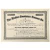 Image 1 : Walker Smokeless Furnace Co. Stock Certificate [191360]