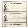 Image 1 : Elk Hill Coal Stock Pair, Rare [193708]