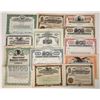 Image 1 : Brewing Company Stock Certs (12) [192489]