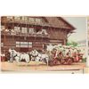 Image 2 : Rose Parade, Pasadena, California Postcard Collection (25) [197600]