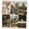 Image 3 : Florida Postcards Variety 1906-53 (100+) [179968]