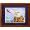 Image 1 : Bald Eagle Watercolor [197351]