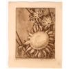 Image 1 : Daisy Lithograph by Ramsey [178084]