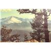 Image 3 : Pine Logging Co. of California Calendar Poster [195620]