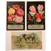 Image 1 : Dentist Trade Cards (3) [186720]
