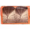 Image 3 : New York State Stereoviews, 35 [185268]