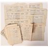 Image 1 : Democratic Press, c. 1875-81, 16 Issues [187302]