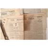 Image 2 : Democratic Press, c. 1875-81, 16 Issues [187302]