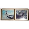 Image 1 : World War 2 Fighter Plane Prints in Frames, 3 [197493]