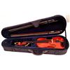 Image 2 : Violin, Ukulele and Dulcimer [193496]