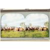 Image 3 : Western Stereoview Group (9) [197529]