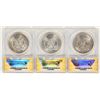 Image 2 : Morgan Dollar VAM Varieties (3) [197919]
