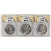 Image 1 : Morgan Dollars: New Orleans Trio (3) [197742]