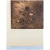 Image 2 : Edward Curtis Photogravure Gathering Arrow Bush